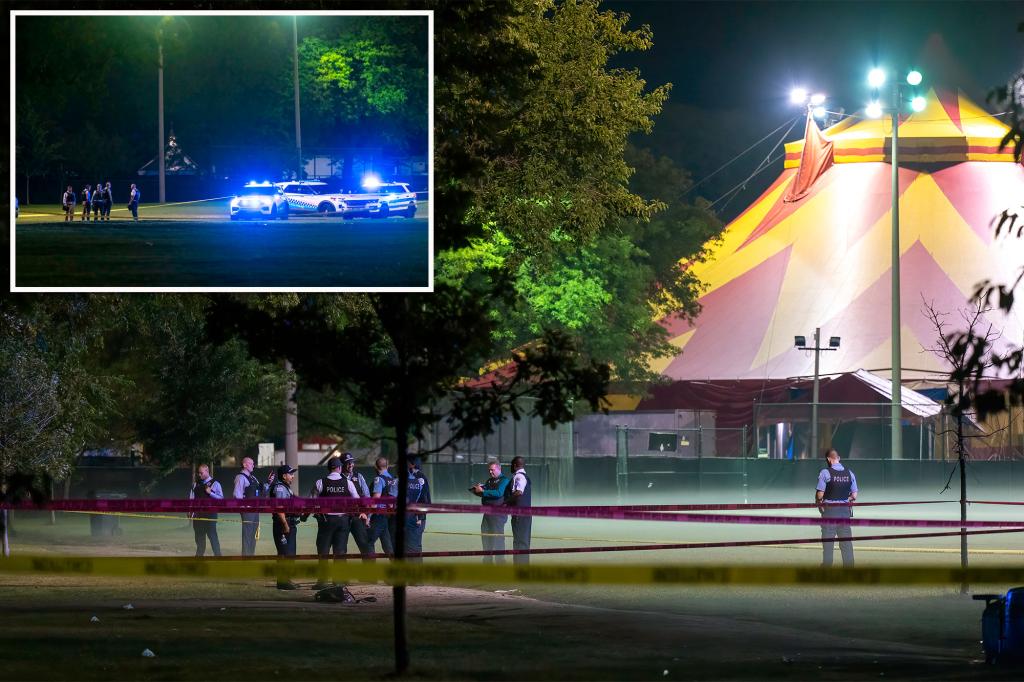 7 people shot, one fatally, in Chicago park