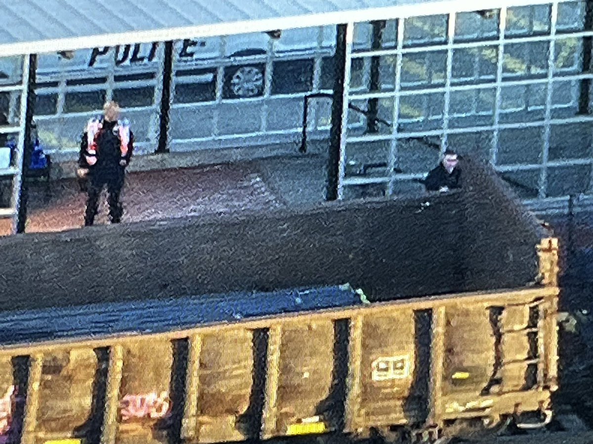 Joliet Police remain on the scene near Union Station where a pedestrian was struck by a freight train this morning, forcing the suspension of Rock Island Line service