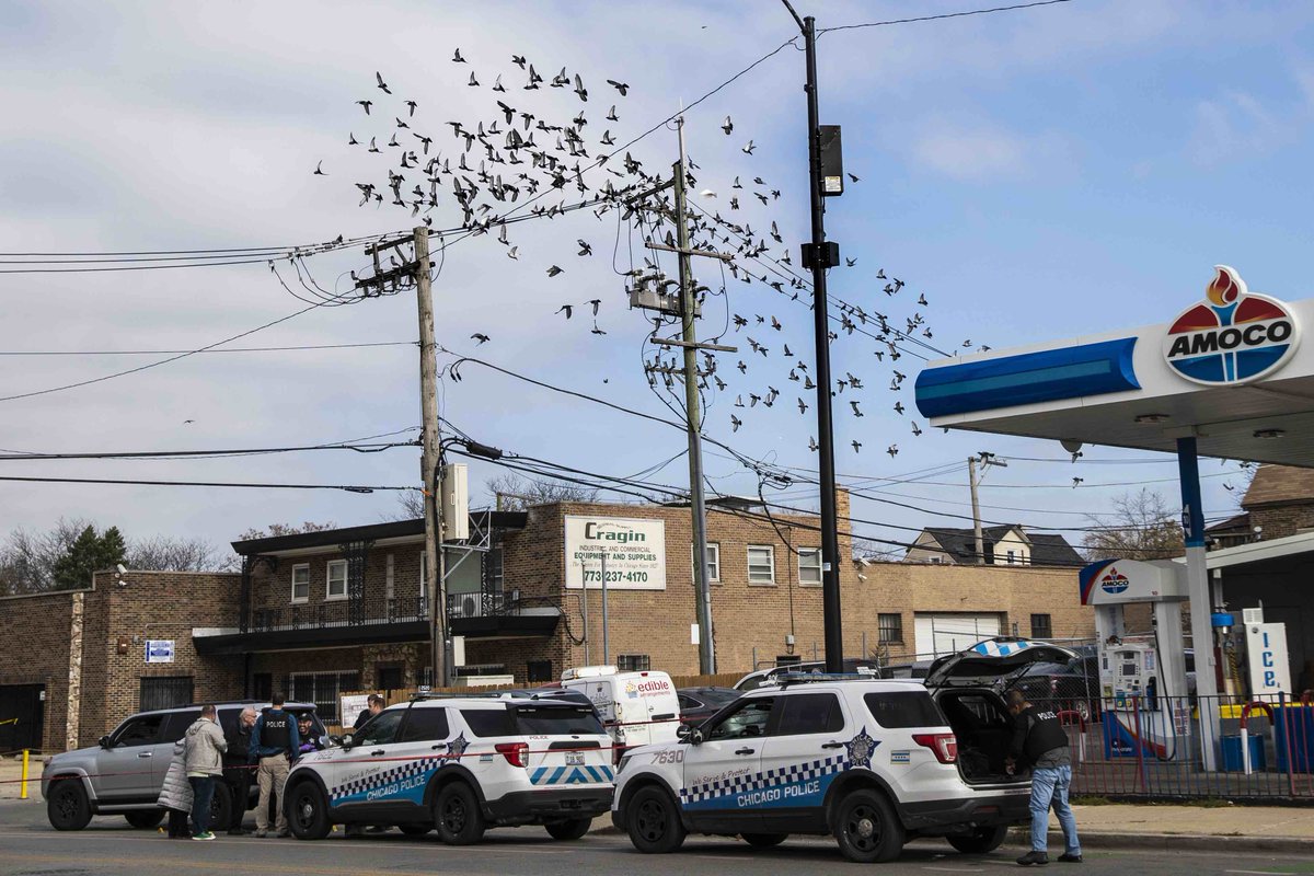 An off-duty Chicago police officer was involved in a shooting this morning in the 2000 block of North Laramie Avenue on the Northwest Side.