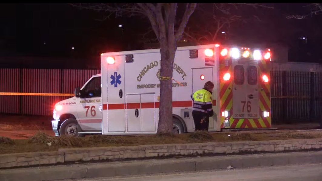 High Speed Pursuit From South Suburbs Ends in Major Accident 120th & Halsted Chicago-Offender Struck a large tree, speeds excess of 100 mph-The Vehicle A Stolen BMW X5 split into multiple pieces. Suspect Code Black,Halsted is closed from 119th to 120th