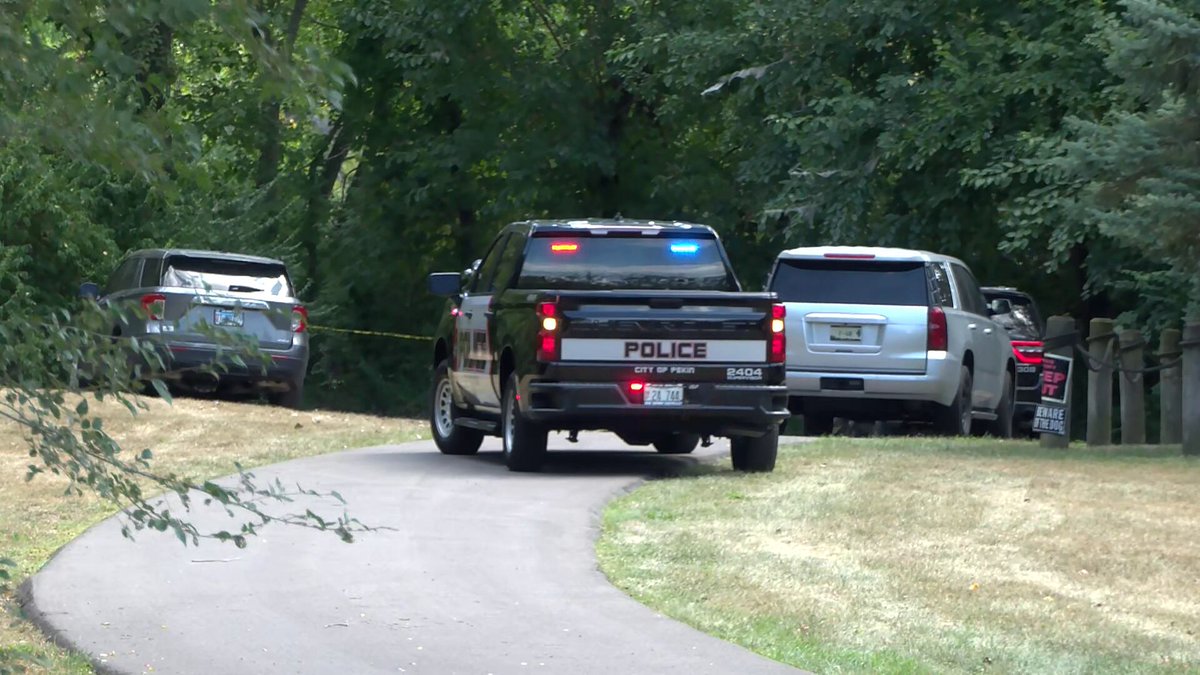 93-year-old man accused of stabbing woman to death