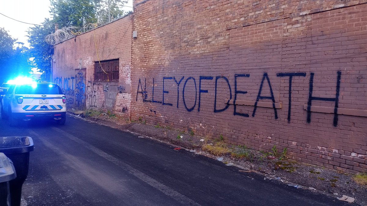 Alley of Death Shooting 3607 Grenshaw in between Grenshaw and Roosevelt west of Central Park Person Shot  An 18-year-old male victim, while standing in the alley, felt pain and realized he had been
