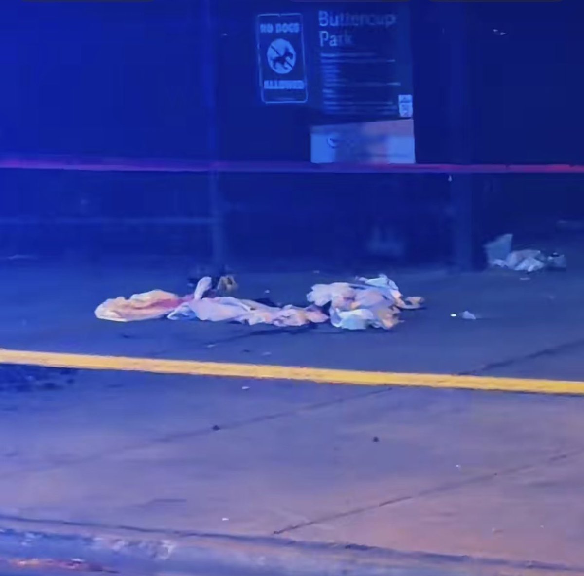 Sheridan & Ainslie MALE SHOT Chicago Police are investigating a shooting that left a man critically wounded in front of a park in Uptown.  
